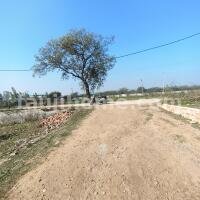 44 Sq Yd Residential Plot for Sale in Dadasiya Faridabad